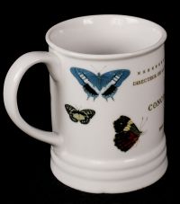 Fringe Studio Barnes & Noble Coffee Mug